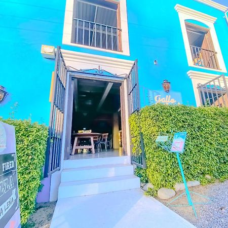 Gallo Azul Hotel, En El Corazon De 托多斯桑托斯 外观 照片