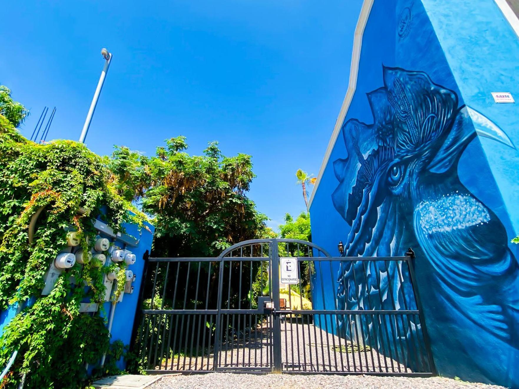 Gallo Azul Hotel, En El Corazon De 托多斯桑托斯 外观 照片