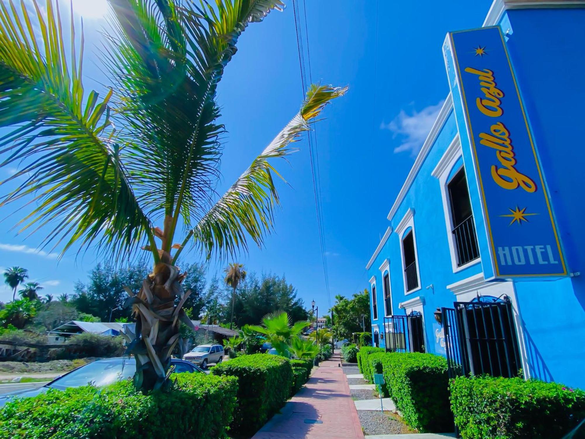 Gallo Azul Hotel, En El Corazon De 托多斯桑托斯 外观 照片