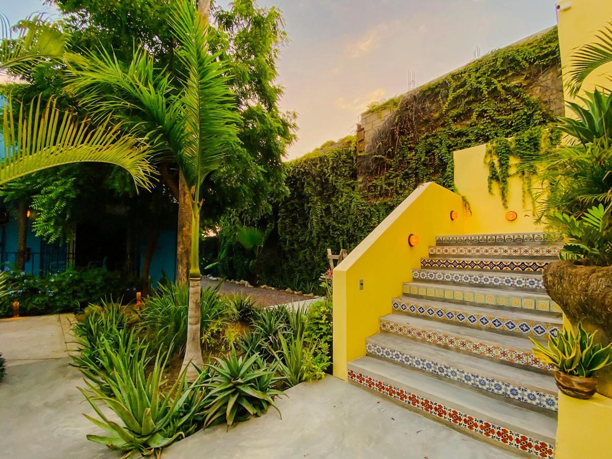 Gallo Azul Hotel, En El Corazon De 托多斯桑托斯 外观 照片
