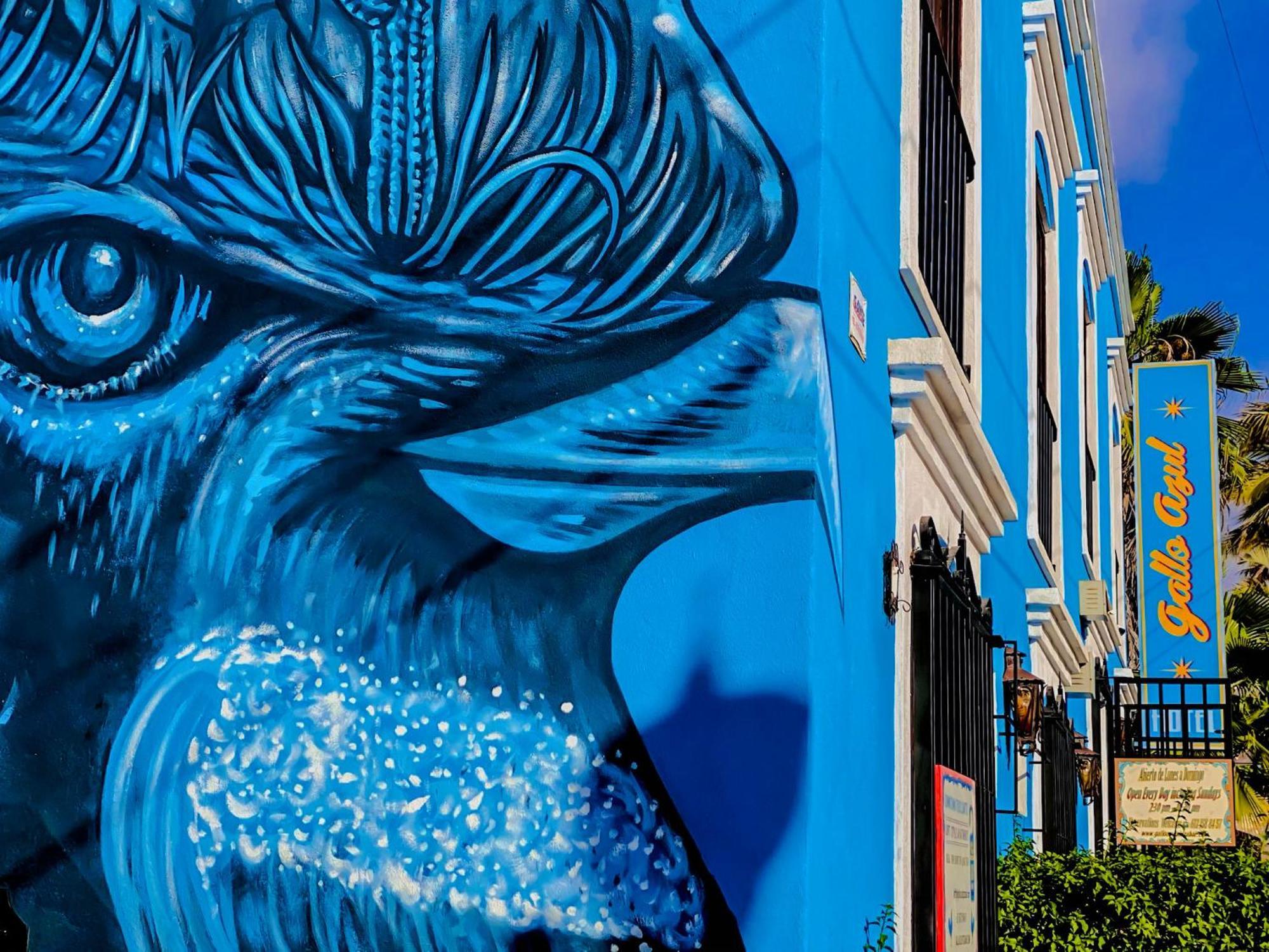 Gallo Azul Hotel, En El Corazon De 托多斯桑托斯 外观 照片